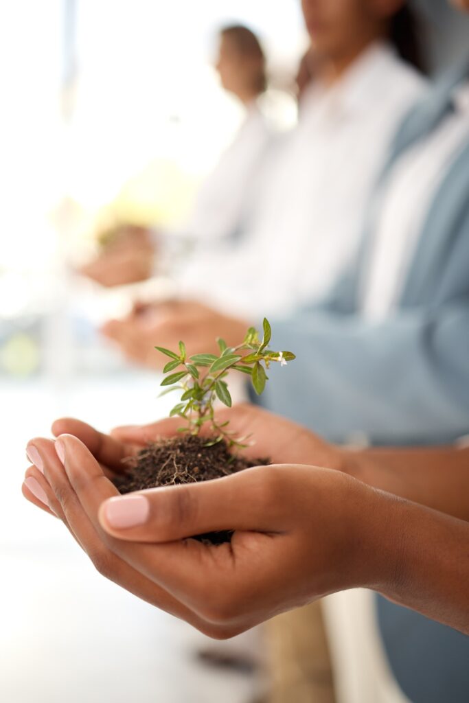 Plants, hands and business growth for eco friendly investment, sustainability and company green sta